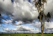 消费潮流技巧是什么意思,消费新潮流