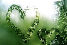 城市指南针图片大全简单高清,城市指南的意思是什么