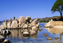 城市指南针图片大全简单高清,城市指南的意思是什么